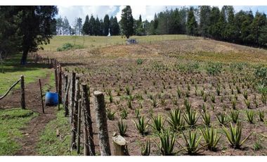 Lote Industriall para la venta en Guarne