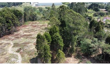 Lote Industriall para la venta en Guarne