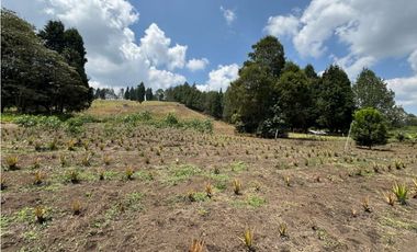 Lote Industriall para la venta en Guarne