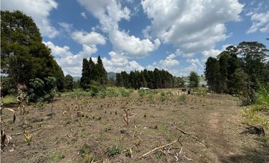 Lote Industriall para la venta en Guarne