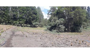 Lote Industriall para la venta en Guarne