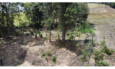 Lote Industriall para la venta en Guarne
