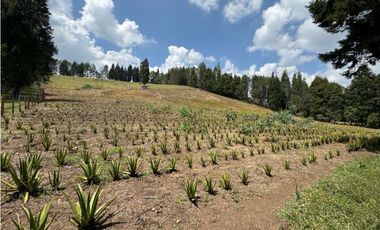 Lote Industriall para la venta en Guarne