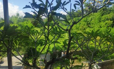 VILLA SECOND DI UBUD, BANGUNAN CANTIK MASIH TERAWAT