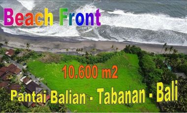 Under Market Price 10,600 sqm in Selemadeg Barat Tabanan