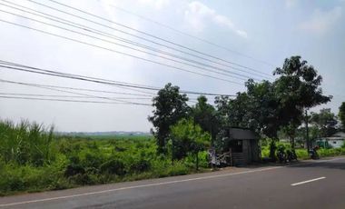 Tanah Desa Gambiran, Mancilan, Mojoagung, Jombang