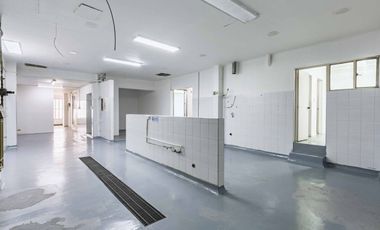 casa en arriendo/venta en la castellana. Cod A23954