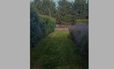 VENDO CASA DE CORTE CAMPESTRE