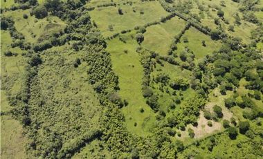 VENTA DE LOTE VALPARAISO, SUROESTE ANTIOQUEÑO
