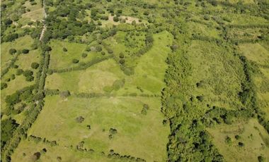 VENTA DE LOTE VALPARAISO, SUROESTE ANTIOQUEÑO
