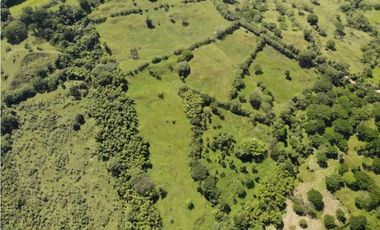 VENTA DE LOTE VALPARAISO, SUROESTE ANTIOQUEÑO