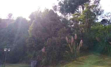 casa en arriendo/venta en portal de fusca. Cod A1092