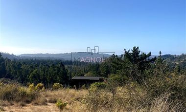 Parcela en Venta en Terrenos Alto Pupuya