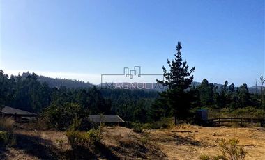 Parcela en Venta en Terrenos Alto Pupuya