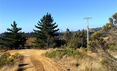 Parcela en Venta en Terrenos Alto Pupuya
