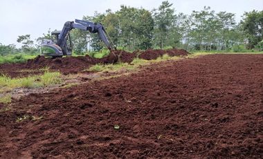 Kavling Dekat IAIN Pekalongan, SHM Per Unit: 1 Jt-an