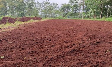 Kavling Dekat IAIN Pekalongan, SHM Per Unit: 1 Jt-an