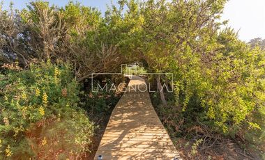 Casa en venta de 3 dorm. en Pichilemu