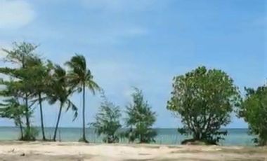 [BBA32D] Land for sale 70000m2 - Bintan, Riau Islands