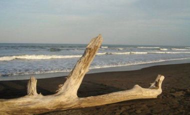 ¿Buscas desarrollar en un paraíso'
