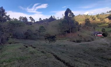 Venta Finca Agropecuaria Concepción Antioquia
