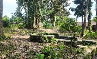 Tanah Pekarangan 799m2 Dekat Dengan Obelix Village