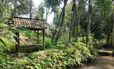 Tanah Pekarangan 799m2 Dekat Dengan Obelix Village