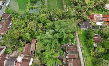 Tanah Pekarangan 799m2 Dekat Dengan Obelix Village