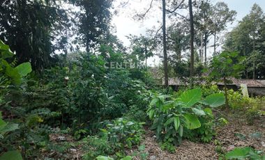 Tanah Pekarangan 799m2 Dekat Dengan Obelix Village