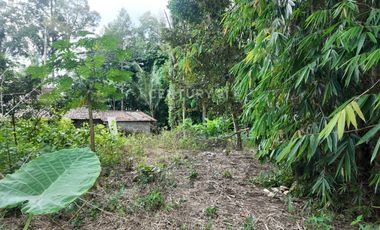 Tanah Pekarangan 799m2 Dekat Dengan Obelix Village