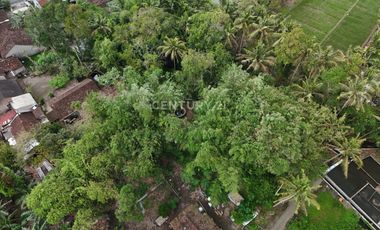 Tanah Pekarangan 799m2 Dekat Dengan Obelix Village