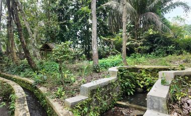 Tanah Pekarangan 799m2 Dekat Dengan Obelix Village