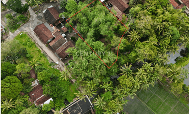 Tanah Pekarangan 799m2 Dekat Dengan Obelix Village