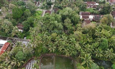 Tanah Pekarangan 799m2 Dekat Dengan Obelix Village