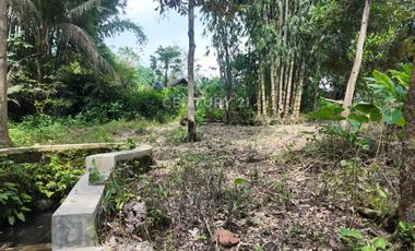 Tanah Pekarangan 799m2 Dekat Dengan Obelix Village