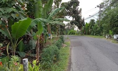 Tanah Pinggir Jalan Raya di Pendowo