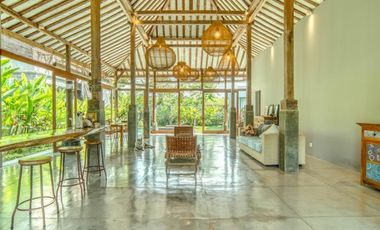 A Hidden Gem in South Ubud - Freehold Spacious Villa in a Natural Setting