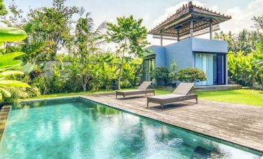 A Hidden Gem in South Ubud - Freehold Spacious Villa in a Natural Setting