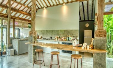 A Hidden Gem in South Ubud - Freehold Spacious Villa in a Natural Setting