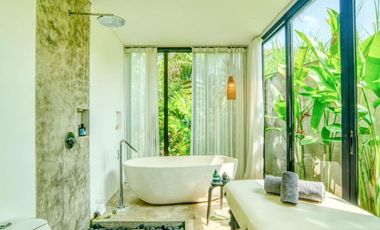 A Hidden Gem in South Ubud - Freehold Spacious Villa in a Natural Setting