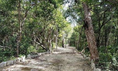 Se vende Lote de 1 hectarea en Aldea Coral , Chemuyil Riviera Maya P4129