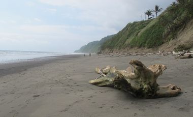 Se Vende Terreno para Desarrollar Frente al Mar en Caimito ~ Esmeraldas