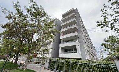 LOS LEONES / HERNAN CORTES