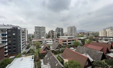 LOS LEONES / HERNAN CORTES