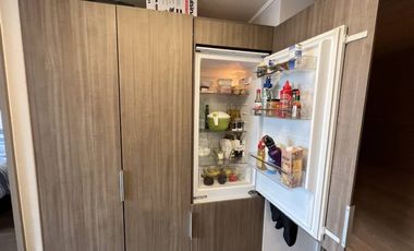 LOS LEONES / HERNAN CORTES