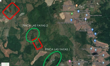 Se Vende Finca de 25 Hectáreas  en Las Yayas Panamá Oeste