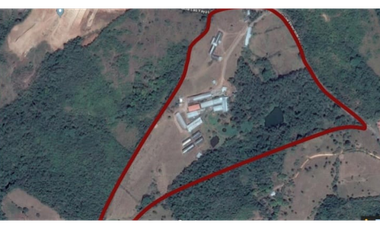 Se Vende Finca de 25 Hectáreas  en Las Yayas Panamá Oeste