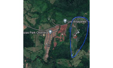 Se Vende Finca de 25 Hectáreas  en Las Yayas Panamá Oeste