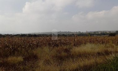 Terreno habitacional en Venta en El Huizachal, Chapantongo, Hidalgo.