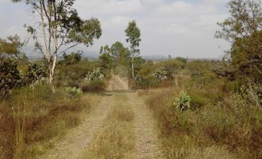 Terreno habitacional en Venta en El Huizachal, Chapantongo, Hidalgo.